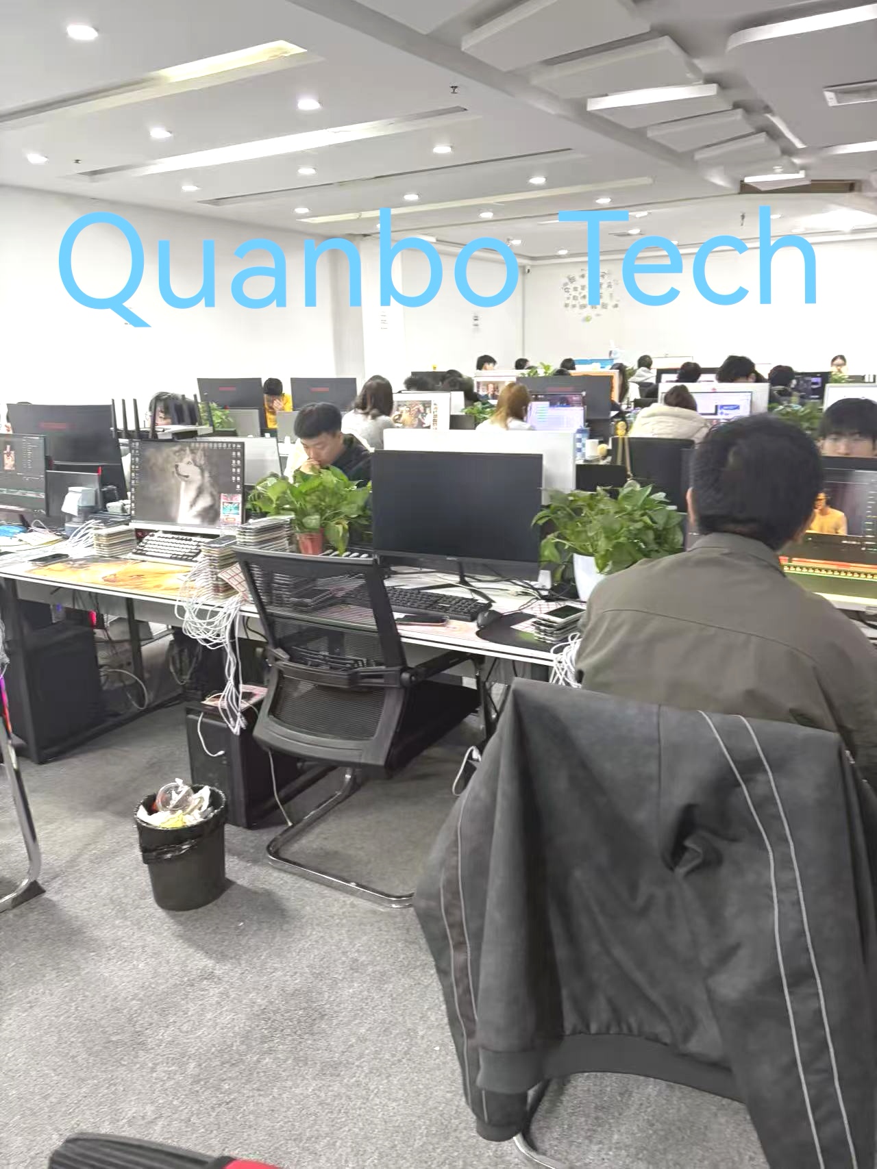 Quanbo Technology's office environment